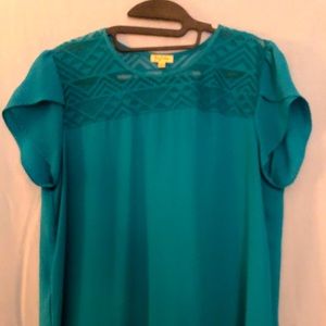 Lily White, Size Large, Teal in color, Short sleeve lace accent blouse